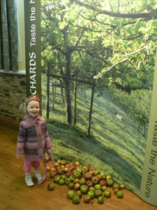 Cornish Orchards display board
