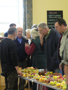 People learning about apples from Jim Stephens at Duchy Nursery