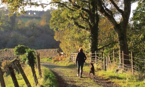 Restormel Valley Walk