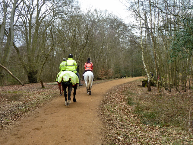 Boconnoc Fun Ride By Little Margate Equestrian