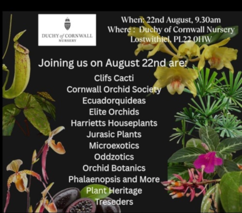 Third Exotic Plant Fair 