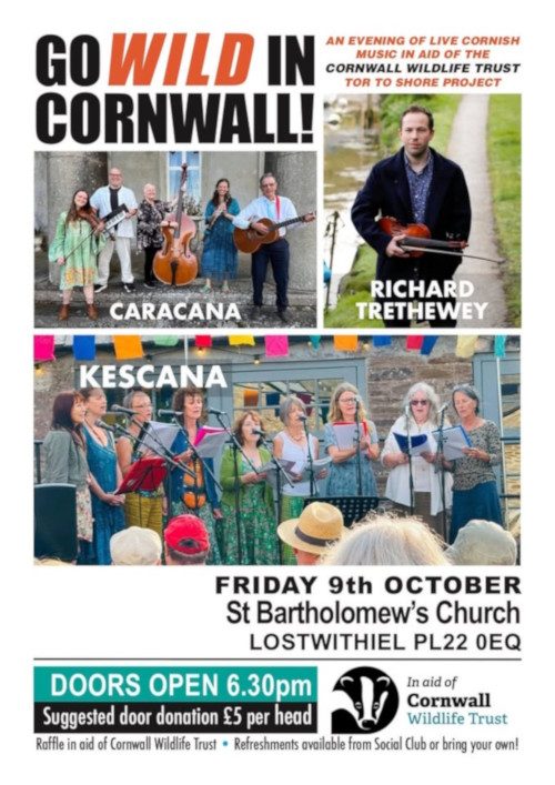 Go Wild In Cornwall!