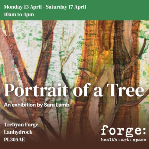 Portrait of a Tree: An exhibition by Sara Lamb