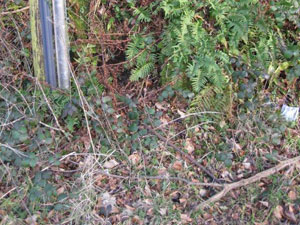 Hillhead boundary stone before being uncovered