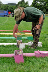 Ferret race being set up