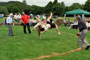 Wrestling throw