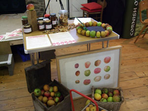 Transition Lostwithiel Abundance stall