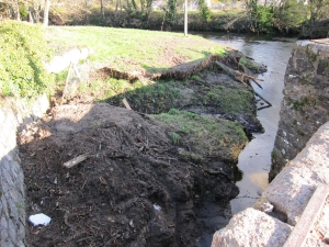 Branches left from flooding