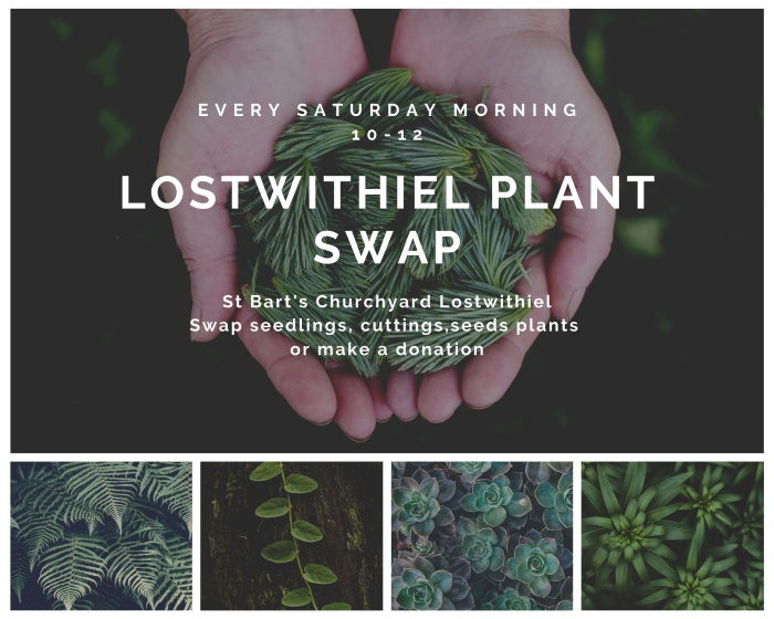 Lostwithiel Plant Swap