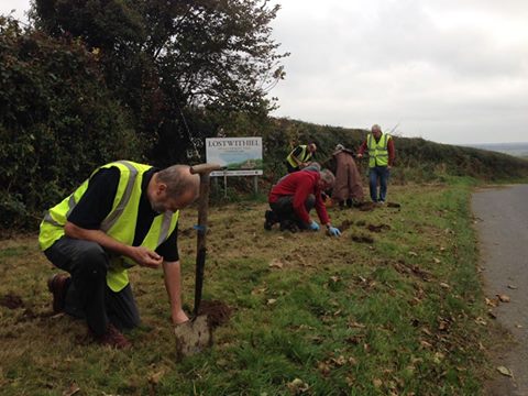 Planting crocus bulbs to raise awareness of End Polio Now