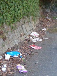 Litter before the spring clean