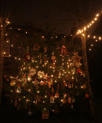 Christmas tree from the Youth Forum © Mat Connolley