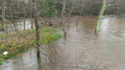 View from the bridge