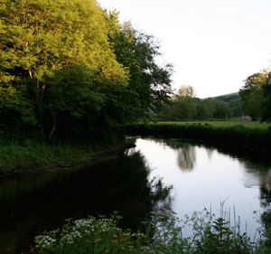 River Fowey in Coulson Park © Debbie Curtis