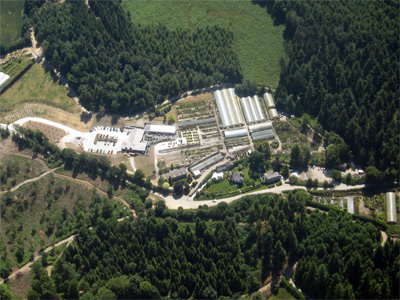 Duchy of Cornwall Nursery from the air