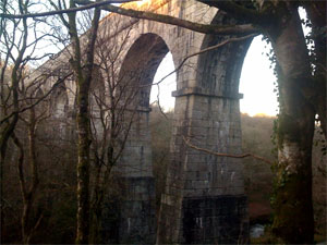 Treffry viaduct in Luxulyan valley by Tomhannen