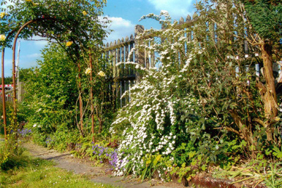 Garden at the front of Lostwithiel station