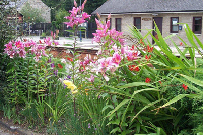 Lostwithiel Station garden